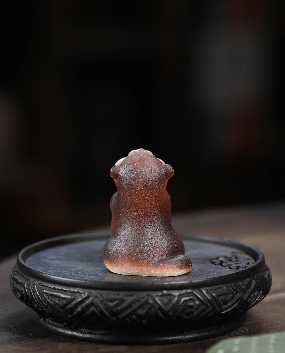 Teelemmikki - Saukko