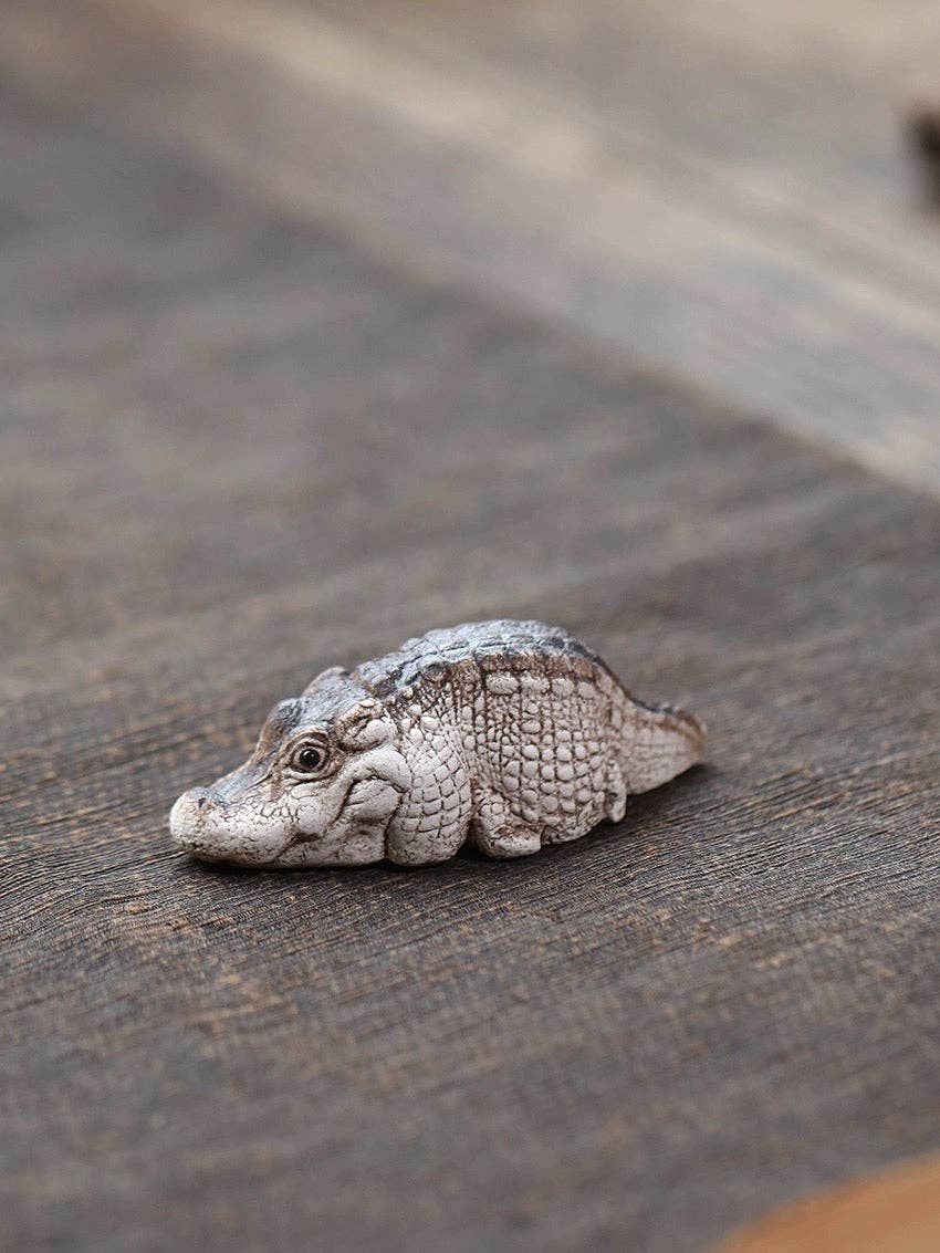 Teelemmikki - lepäävä  krokotiili