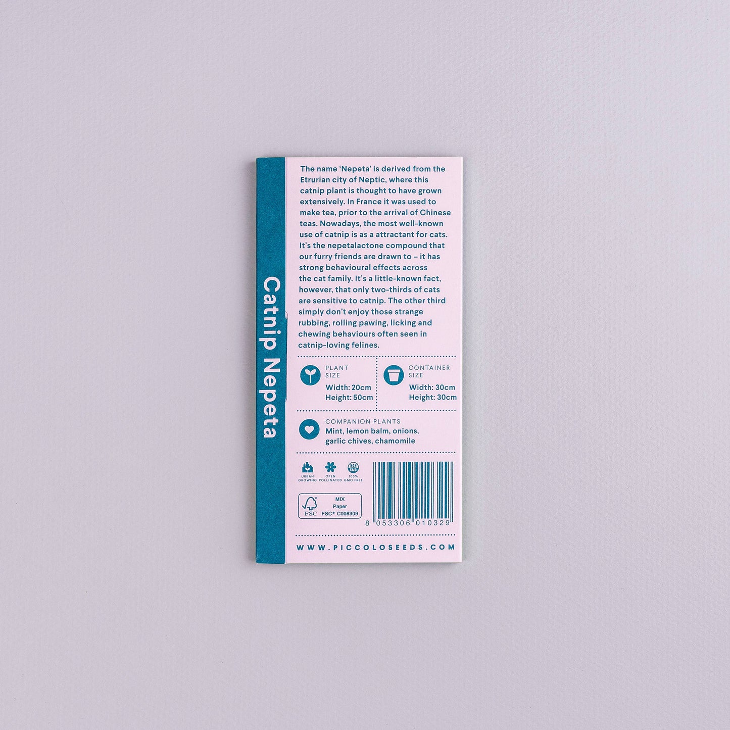 Nepeta - kissanminttu kissanmielisille ja muille maukujille.