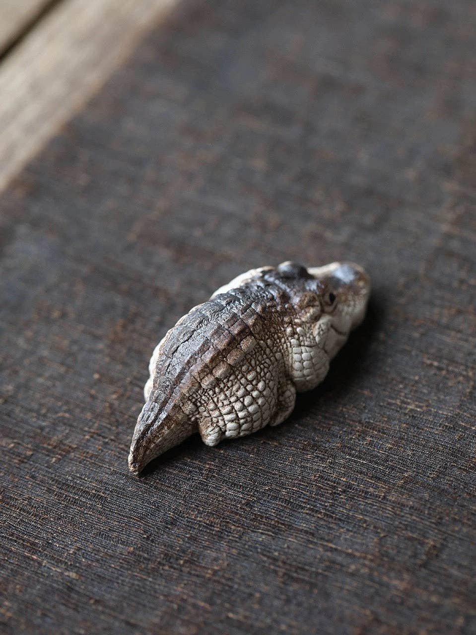 Teelemmikki - lepäävä  krokotiili