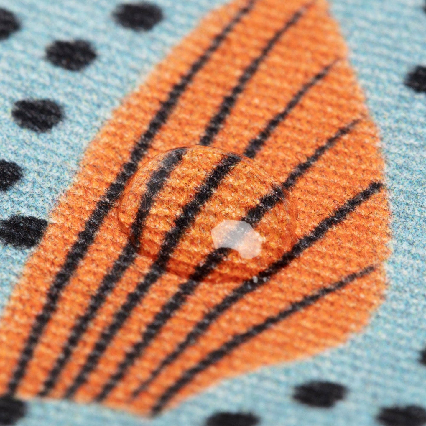 Hohtokala - Sweeper fish