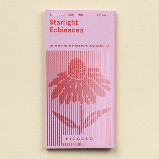 Purppurakartiokukka - Echinacea Starlight