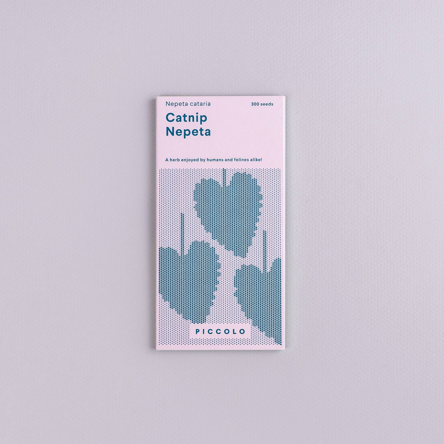 Nepeta - kissanminttu kissanmielisille ja muille maukujille.